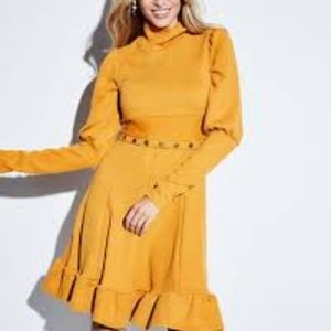 Walter  Sweater Dress (NWOT)